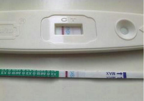 关于专业拉拉代怀助孕费用多少